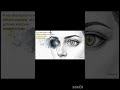 The Nexus Between Dajjal and Israel: A Research Overview