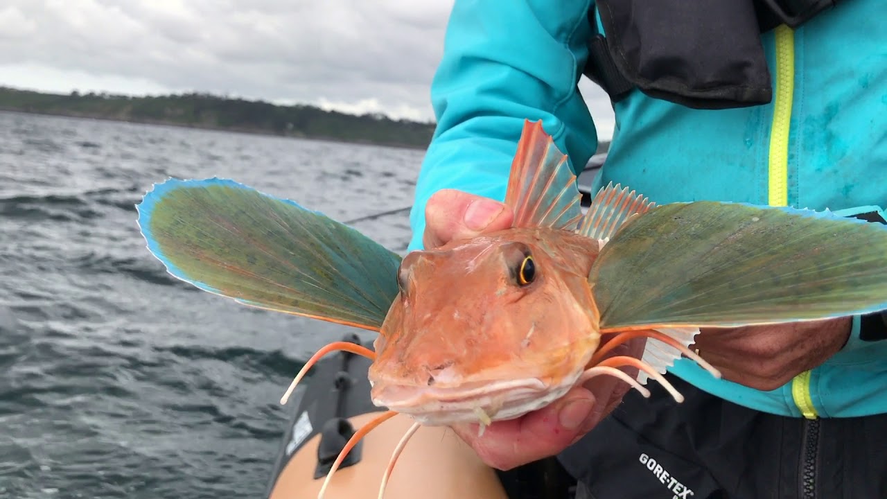 Sortie Pescanautic à l'Open Pagre de Brest 218