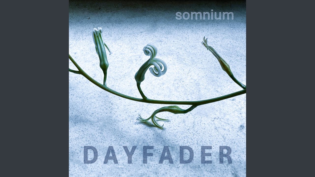 Watch off the treadmill on YouTube Watch off the treadmill on YouTube