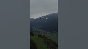 أفلا يتوبون إلى الله ويستغفرونه | تلاوه هدوء وطمأنينة 🎧🥺
