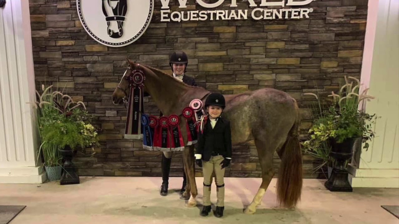 Equine Odyssey Commercial 2020 YouTube