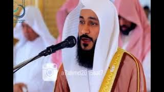 Surah Ar Rahman, Surah Yasin, Surah Al Mulk & Al Waqiah - Abdul Rahman Al Ossi