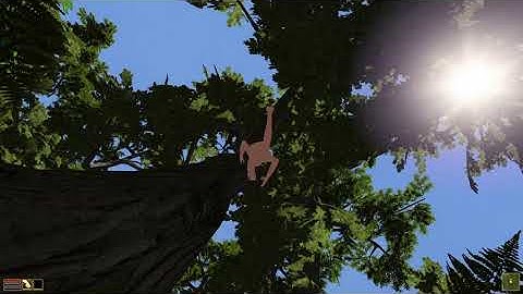 OpenMW Example Suite / Bliaron forest run