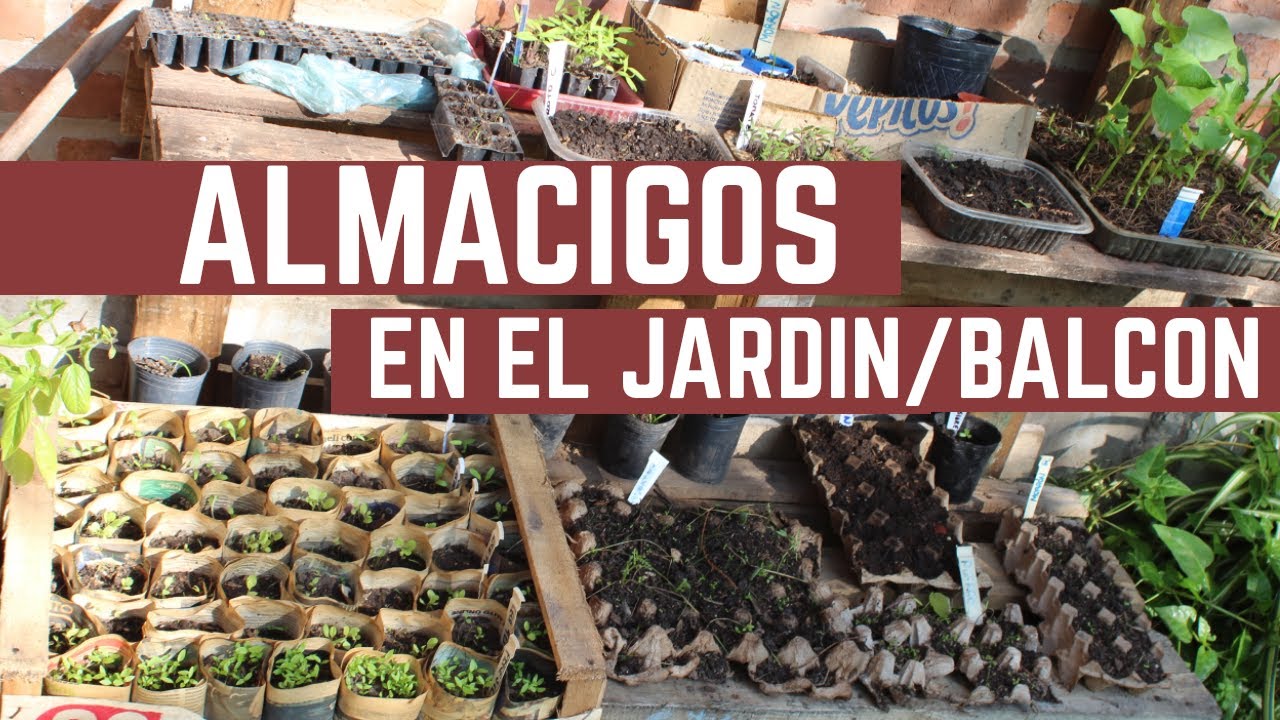 ALMÁCIGOS CASEROS - Huerta en el Balcón