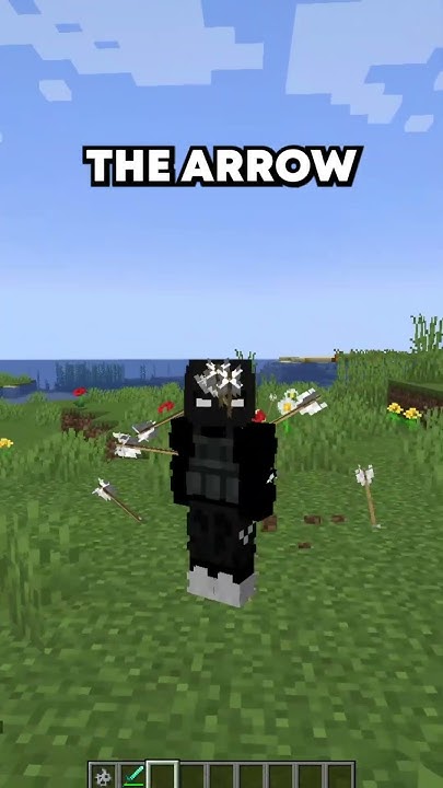 Arrows Stick to You Only in Minecraft Java Edition - YouTube