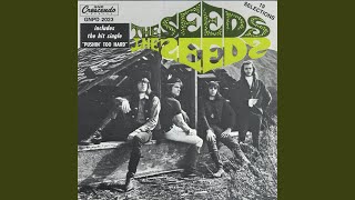 Video thumbnail of "The Seeds - I Tell Myself"