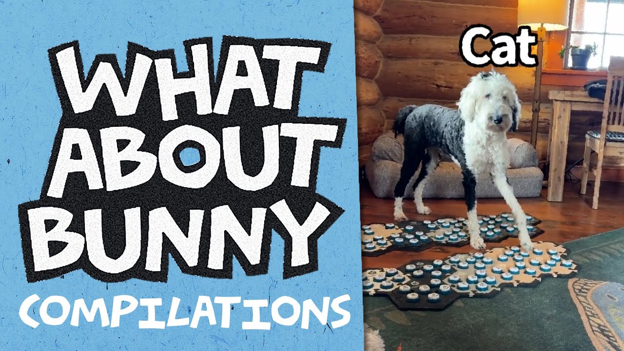 Как говорящая собака справляется с зимой? | Подборка WAB