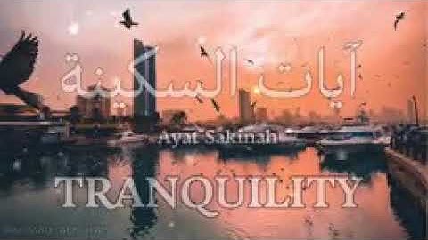 تلاوة هادئة تريح القلب←آيات السكينة→💛