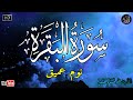 سورة البقرة طاردة الشياطين بصوت هادئ ومريح جدا جدا تلاوة هادئة للنوم والراحة النفسية