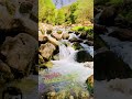 شهدا ولایت بدخشان شهدا ولایت بدخشان