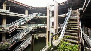 This Abandoned Shopping Mall Is Full Of Thousands Of Fish