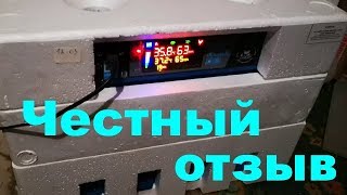 Инкубация ПТИЧИЙ ДВОР итоги вывода