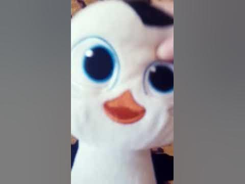 Кастрама🐶🐕🍌🐲🐉🐧🦃🐓🦓🐄🪙🐻 - YouTube