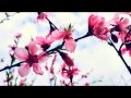 القارئ يونس اسويلص روائع تلاواته Quran Recitation Younes Aswailis القارئ يونس اسويلص روائع تلاواته Quran Recitation Younes Aswailis