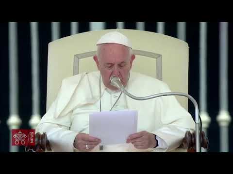 Papa Francisco resumen en español Audiencia General 2019 06 19