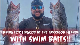 Fishing For Lingcod With Swim Baits At The Farralon Islands