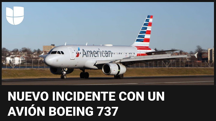 Un avión Boeing 737 se queda sin frenos en pleno aterrizaje: la aeronave se salió de la pista