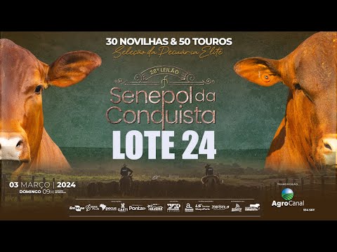 LOTE 24 CONQ 2438