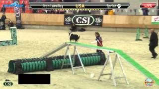 Sprint Gamblers Agilitylive.net