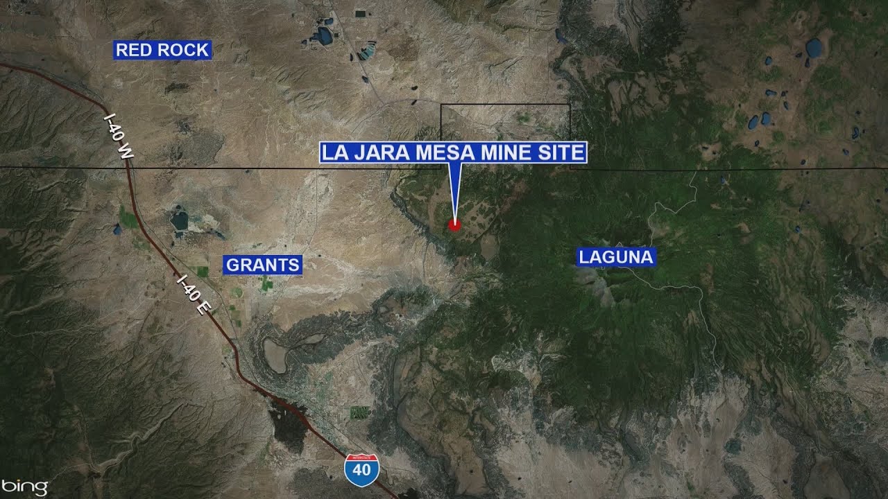U.S. Forest Service adding vegetation to Old La Jara Mine