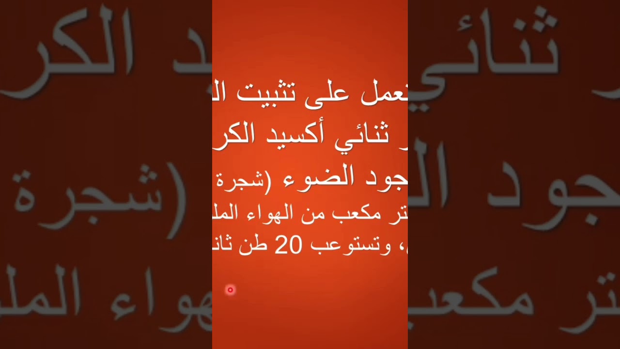 الشجرة جزء 6