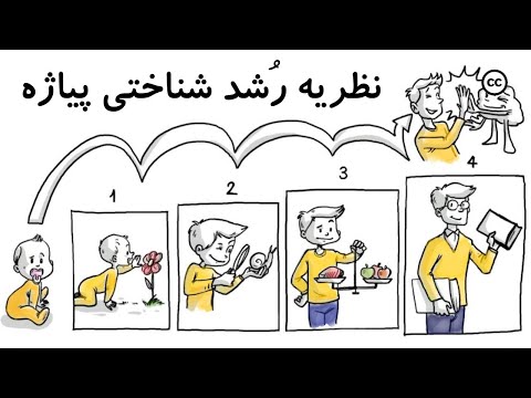 نظریه رشد شناختی پیاژه