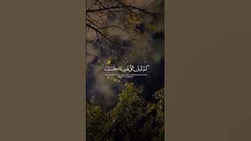 القارئ خالد الجليل /اكتب شيء تؤجر عليه