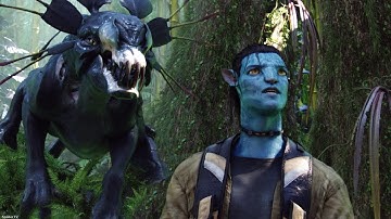 Jake Sully vs Thanator - Fight Scene Avatar (2009) Movie Clips HD