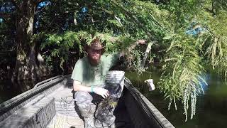 How to Tie an Alligator Hook to Line, How to Set Gator Line to Fish from a Tree