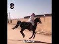 ماضل وفا mp3