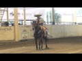 Las 5 Mejores Calas de caballo – LXX Congreso y Campeonato Nacional Charro Jalisco 2014