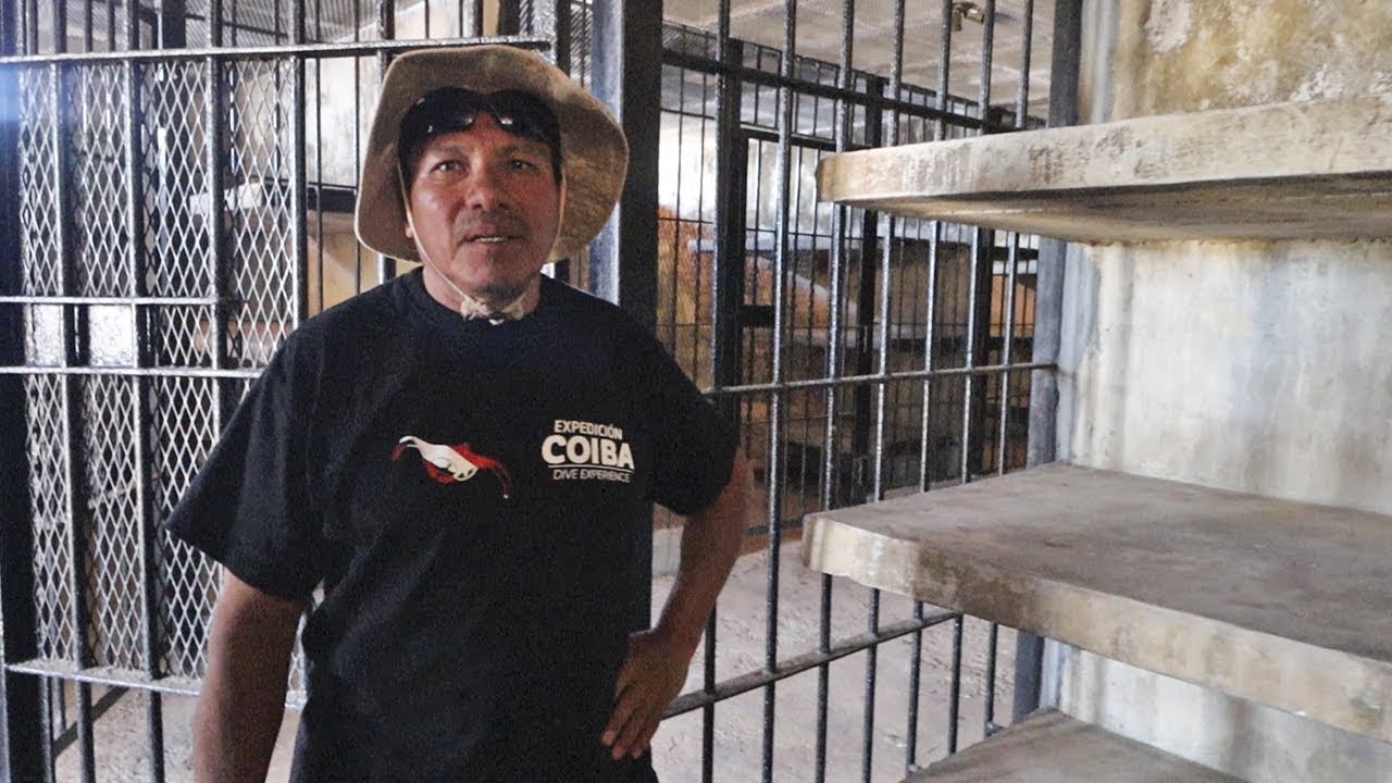 Llevé a un ex-prisionero a la cárcel donde estuvo por 12 años…