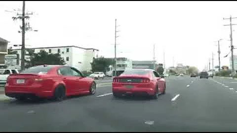 LSA G8 vs Procharged 5.0