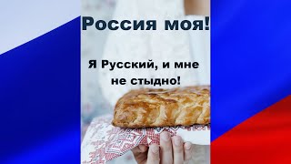 Россия моя! Я Русский, и мне не стыдно! (песня)