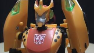 TFCC Exclusive ANIMATED CHEETOR: EmGo's Transformers Reviews N' Stuff