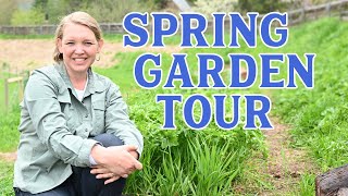 {GARDEN TOUR} Growing enough to feed our LARGE family THIS YEAR!