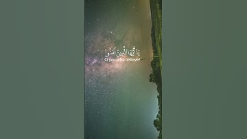القرآن الكريم سورة الأحزاب #محمد_الفقيه #اللهم_صل_على_محمد_وال_محمد #ﷺ