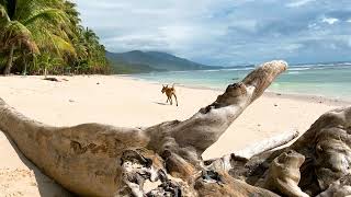 Lanca Beach, Davao Oriental, Mindanao: The Philippines