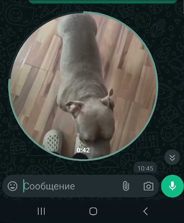 youtube.com