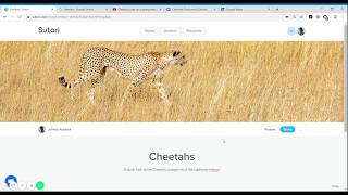 Famous Walkthrough of Sutori's Creation Tool Profile