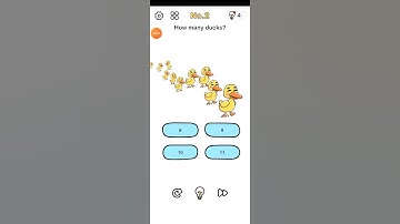 Brain out level 2//How many ducks //WTK.BRAIN.ARMY!