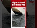 वेनेजुएला का तेल सबसे खराब कच्चा तेल क्यों है  #DW_Environment #DWPlanetA #OrinocoBelt
