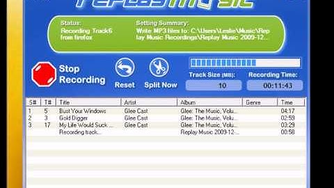 Audio Recorder - How to Record/Save/Capture a Vevo Playlist/Songs with Replay Music