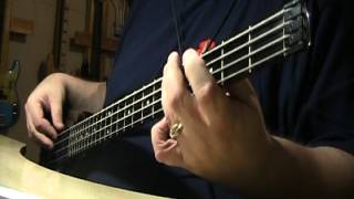 Video thumbnail of "Tears For Fears Pale Shelter Bass Cover"