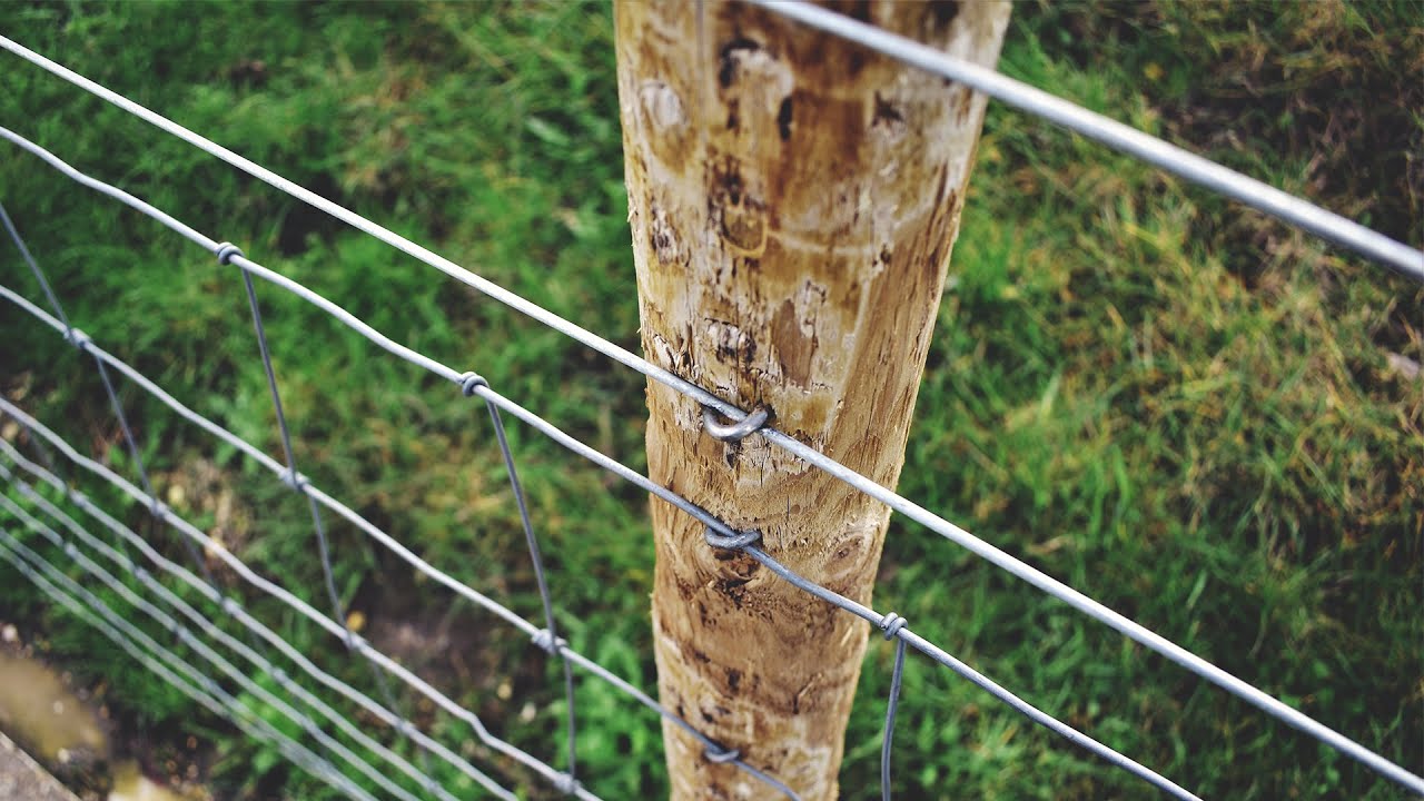 Забор из шарнирной сетки своими руками