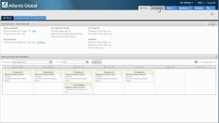 Using the Project Team Member Role