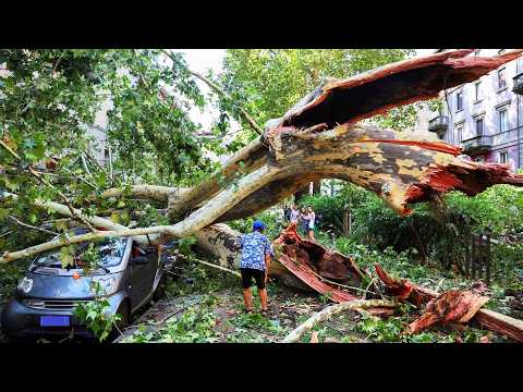 Heavy damage in Italy from recent storms