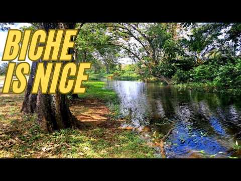 The Beast of Biche is gone - Exploring Biche