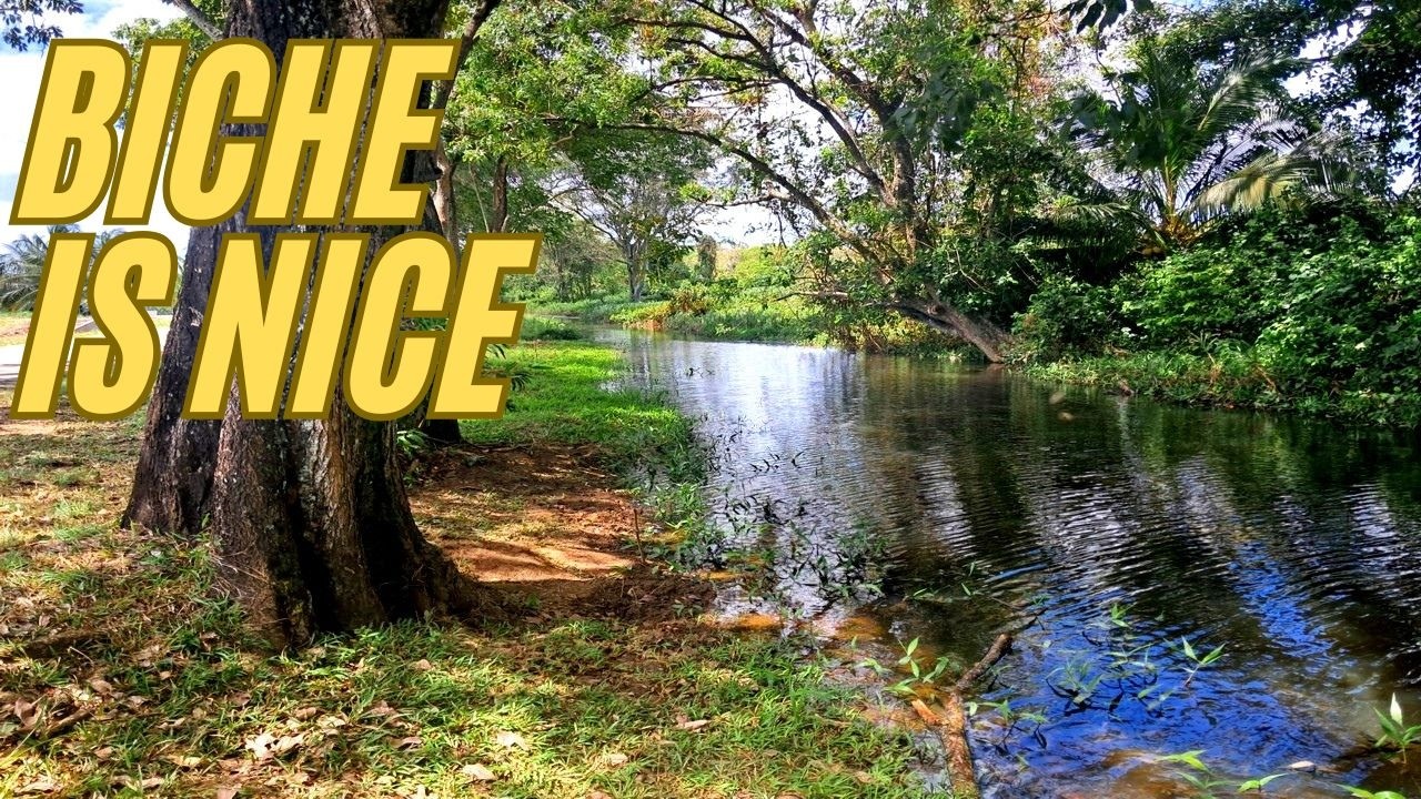 The Beast of Biche is gone - Exploring Biche - YouTube