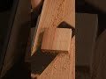 Cheap Japanese Flush Cut Saw. Craft145 from Zet-saw. クラフト145で埋木切り。死節を埋める。#shorts #diy #woodworking